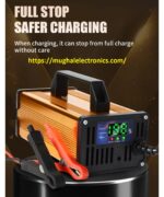 Portable 12V 20A Car Battery Charger Lead Acid with Charging Power AC & DC Port OTP Protection