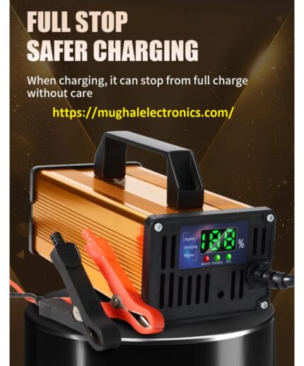 Portable 12V 20A Car Battery Charger Lead Acid with Charging Power AC & DC Port OTP Protection