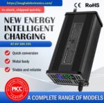 72V 10A 87.6V 24S Lithium LiFePO4 Battery Charger Auto Cut Off Metal Body Model (2+4)
